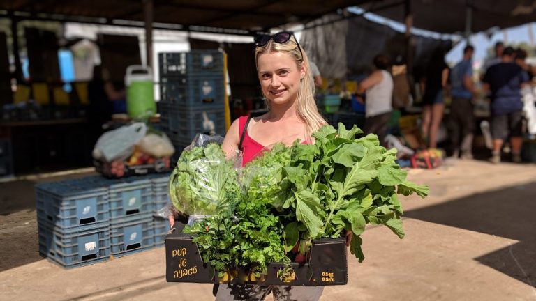 חסה ירוקים טרי מהשדה